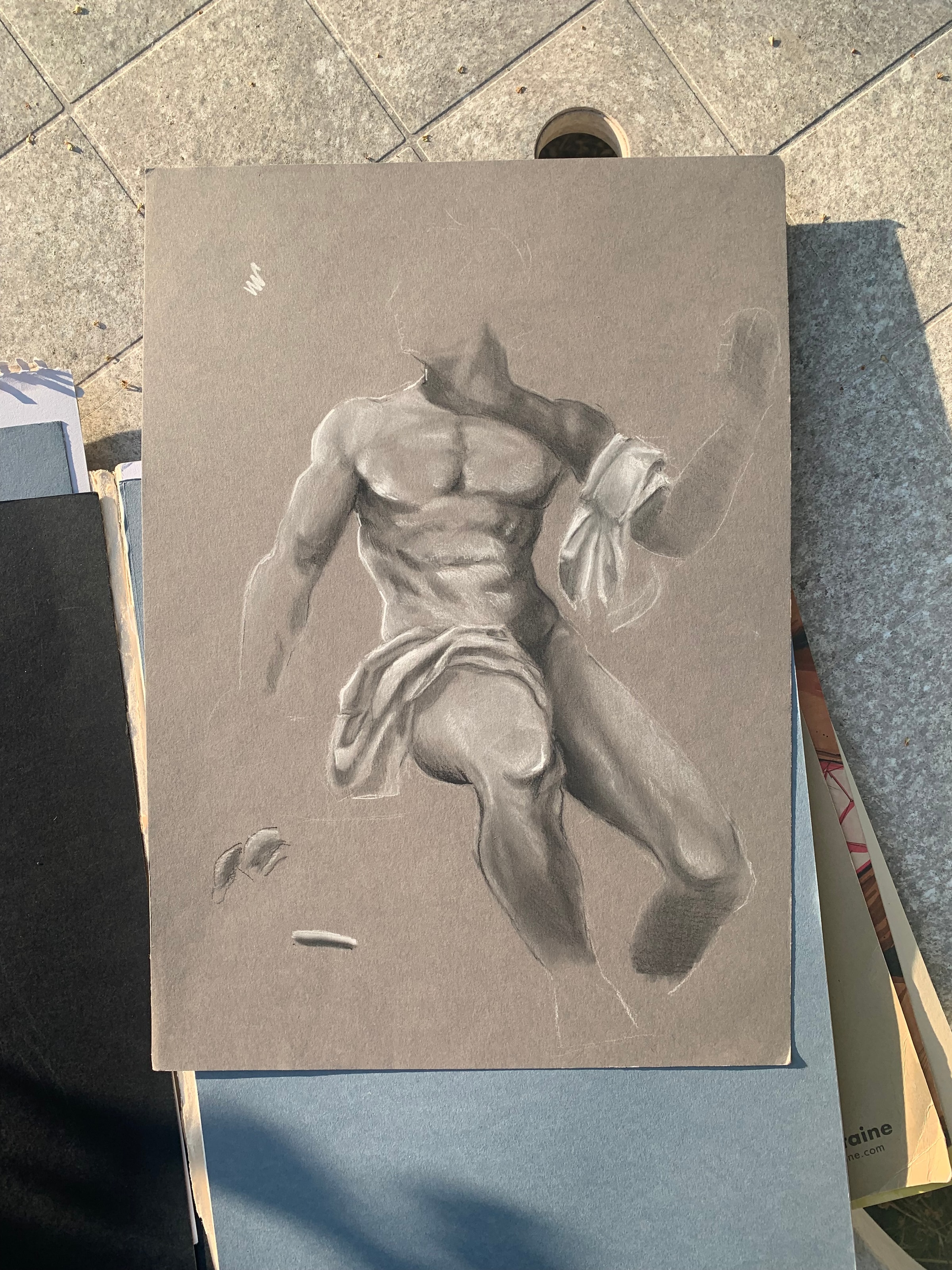 Dessin anatomique: buste